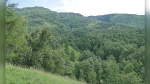 Заповедник кордон Беле. Горный Алтай. Слайд шоу. Reserve cordon Bele. Mountain Altai. Slide show.