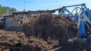 Чистка загона и погрузка навоза, трактором, с помощью вил.