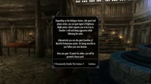 Skyrim Mod: Agent of Righteous Might