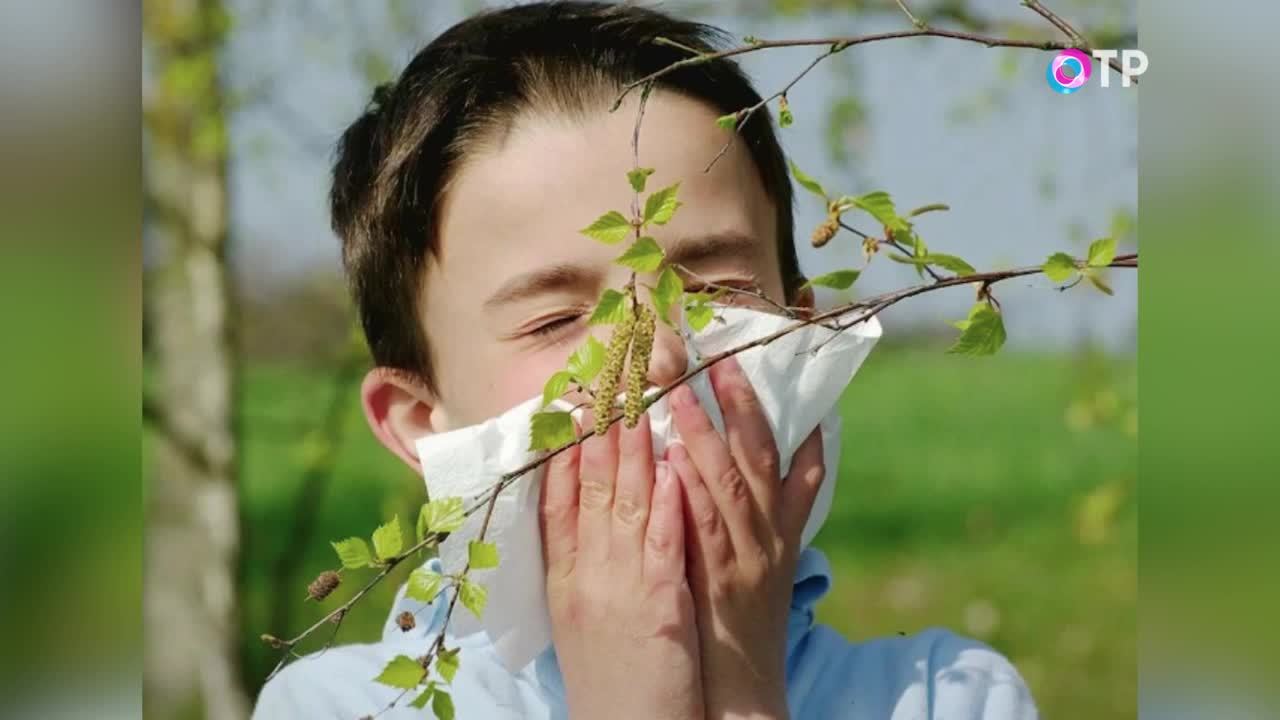 Как справиться с аллергией?