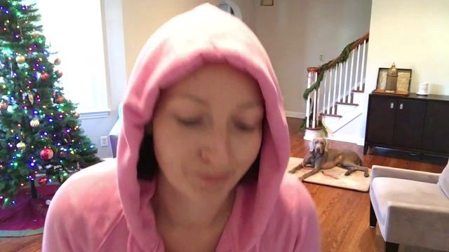 Weimaraner barks at the door, jumps on guests, demonstration of how to train obedient door behavior смотреть онлайн