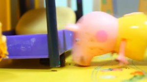 свинка пеппа украла конфеты обкакалась мультики для детей