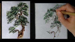 Сосна мастер-класс видео.avi