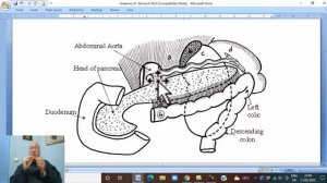 Anatomy GIT Module in English ( Stomach , part 2  ) ,  by Wahdan