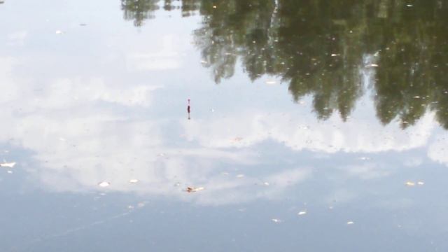 за час до прилёта вертолёта(рыбалка в Кувандыке) смотреть онлайн