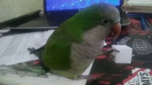 Кубик из эко пластика и 5 минут спокойствия))