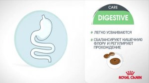 Роял Канин Digestive care cat