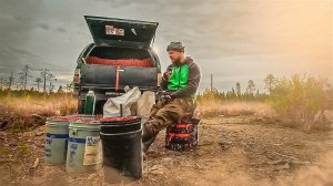 ОТЫСКАЛ ЗАЛЕЖИ ЦЕННОЙ ЯГОДЫ В ЛЕСУ. ЗАКЛИНИЛО СПИНУ НО Я НЕ СДАЛСЯ. ЗАРАБОТАЛ МНОГО ДЕНЕГ НА ЯГОДАХ