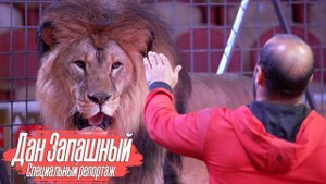 Специальный репортаж с Даном Запашным | За кулисами Омского цирка | Хамада Кута и Цирк со Львами