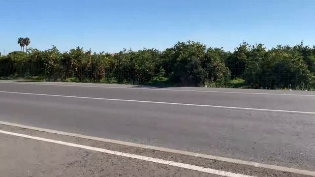 Лучший кофе на дороге смотреть онлайн