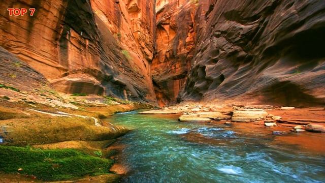 Максуди Ашти Maqsudi Ashti Ман намегуям Man nameguyam смотреть онлайн