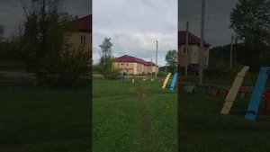 Курганская область поселок Сосновка