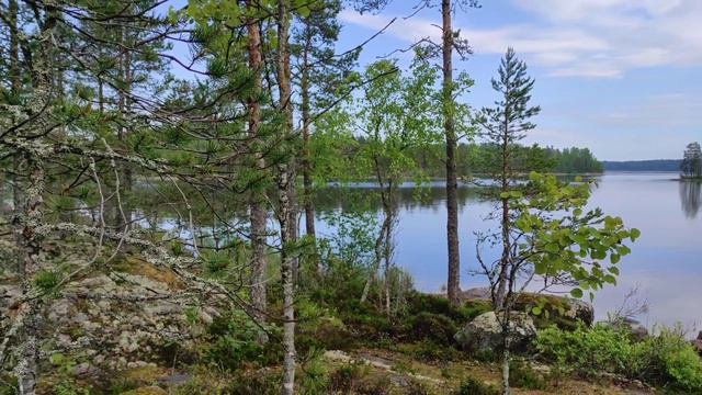 Ладога июнь 2022г. (Бер.Якорь)