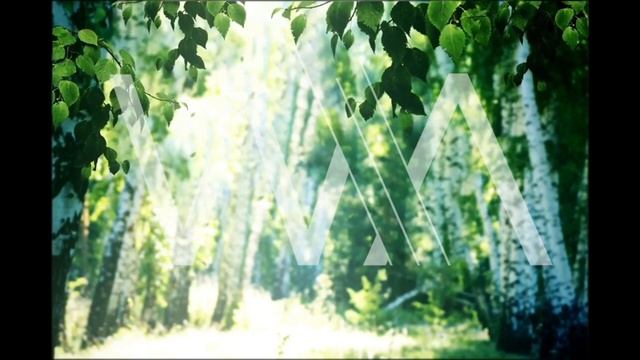 Восстановление легких. Бронхит. Пневмония. Воспаление легких. Матрица Гаряева. смотреть онлайн