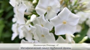 Метафизический смысл глубинной фразы- И кто захочет взять у тебя рубашку, отдай ему и верхнюю одежд