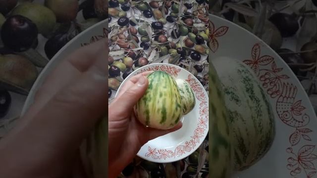 Огурдыня "Мечта Сибарита" смотреть онлайн