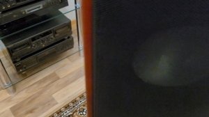 Canton Ergo 690 DC unboxing Распаковка