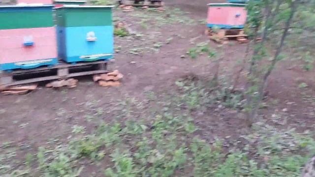 Щурка#Відводки#Дощ смотреть онлайн