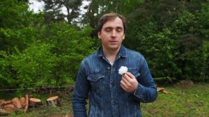 Проект дома на склоне в современном стиле // начало обзора