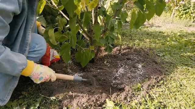 Супер подкормка. Фосфор, калий, сера, магний и кальций в одном пакете. смотреть онлайн