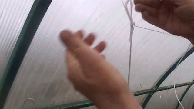 Очень быстрый и простой способ подвязки томатов.