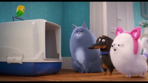 The Secret Life of Pets 2 - Cat Lessons | Fandango Family