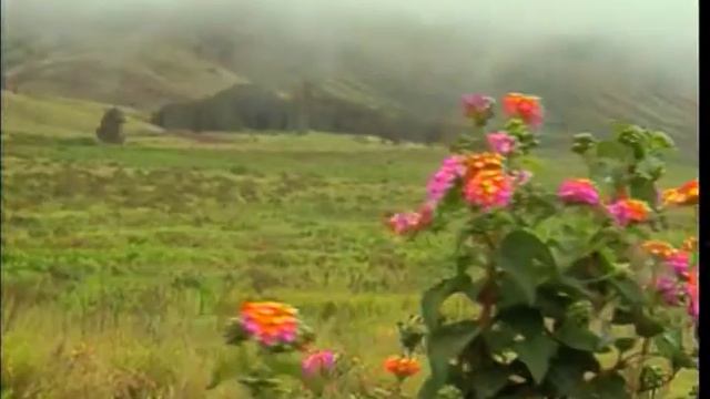 Sunsets and Flowers of Lanai смотреть онлайн