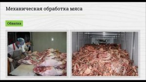 Организация процесса механической кулинарной обработки мяса говядины, полуфабрикаты из него