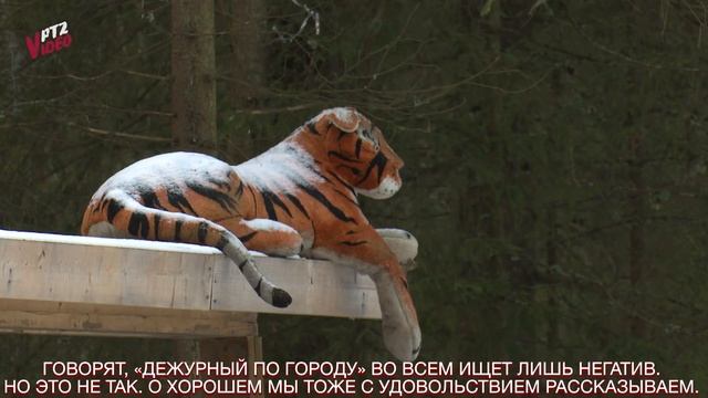 Для инвалидов лучшие участки в лесу смотреть онлайн