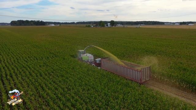 Corn Silage Harvest on the Ohio Indiana Stateline