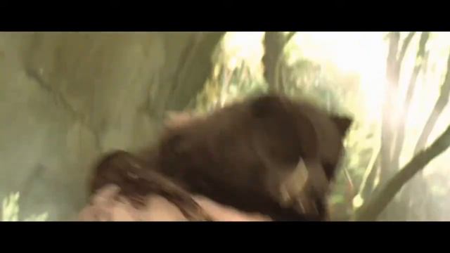 Не надо будить медведя ... смотреть онлайн