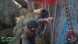 Орда с Лоберт-Дроу-Ридж Ещё Одно Секретное Место Жизнь После  Days Gone Lobert Draw Ridge Horde