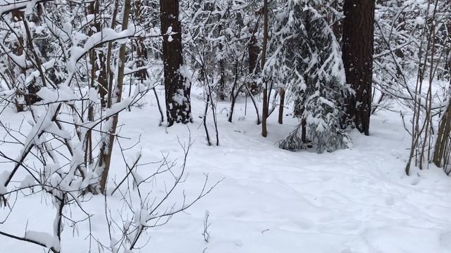 УХОДИЛА К ПОДРУГАМ НА ВСЮ НОЧЬ. Жизненные истории. Поучительные любовные аудио рассказы и истории.