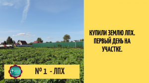 Купили землю ЛПХ. Первый день на участке.