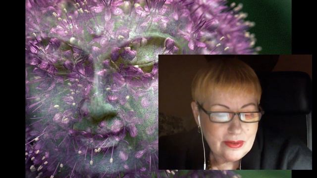 Как полюбить себя истинного? смотреть онлайн