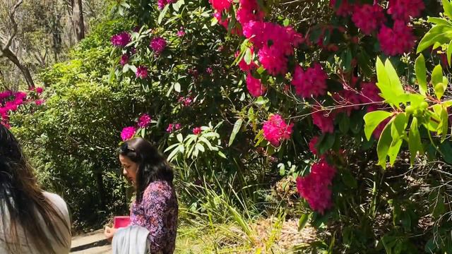 Girls Trip to blue Mountain | Rhododendron Gardens visit смотреть онлайн