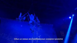 Воздушные гимнасты на люстре от White Circus