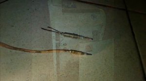 Ремонтируем Газовый котел Alphatherm Beta AT 25