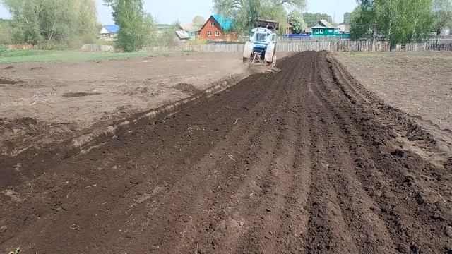 Вспашка огорода трактором т40 смотреть онлайн