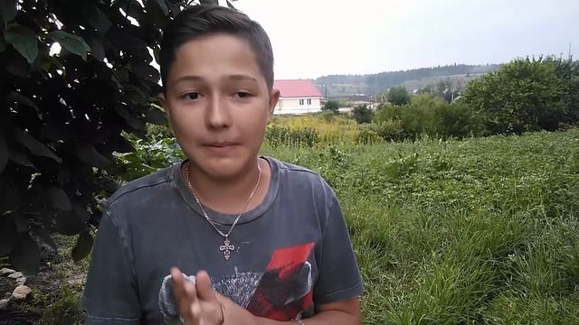 Какие фрукты и овощи МОЖНО давать собакам, а какие НЕЛЬЗЯ??? смотреть онлайн