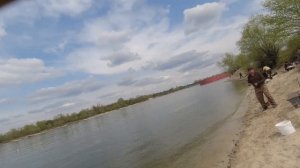 РЫБАЛКУ на ДОНСКУЮ СЕЛЕДКУ. Ловим БУРКУНА в Верховьях Дона. Азовская сельдь.