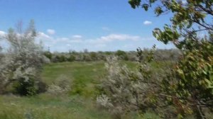 КАК И ГДЕ УСТАНАВЛИВАТЬ ЛОВУШКИ ДЛЯ ПЧЁЛ. Как собрать  ловушку на пчёл? Секрет роеловства.