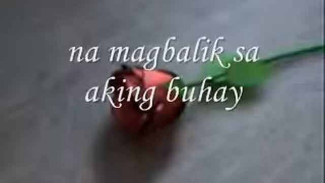 Echeveria, Jose Andry T. Cinderella - Sa aking pag-iisa.mp4 смотреть онлайн