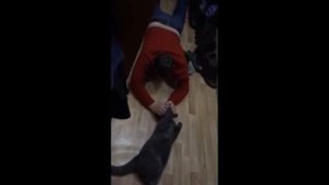 Муж пришел домой пьяный  Реакция жены