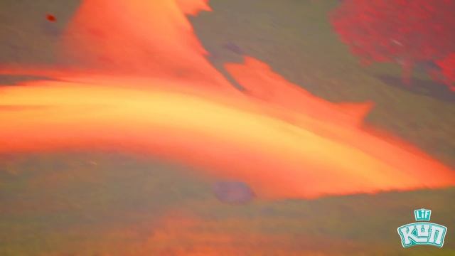 [Cartoon Movie] Kun's green warriors - Episode 2 - First Fighting смотреть онлайн