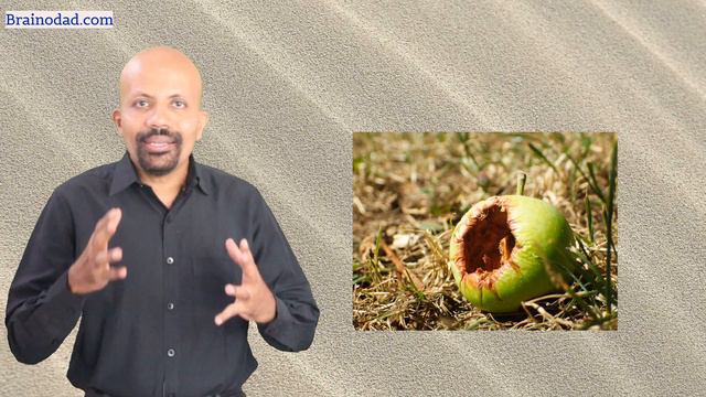 How to Boost Your IQ in 30 Days. Part - 1 #IQpower #boostIQ смотреть онлайн