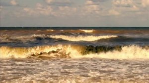 Amedeo Minghi - Ricordi del cuore(Edera)