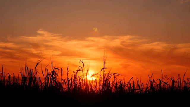 Sunset Footage смотреть онлайн