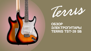 Обзор электрогитары TERRIS TST-39 SB