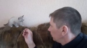 Пополнение в семье. Будни Олега.